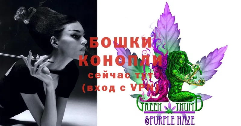 Конопля Ganja  Вязьма 